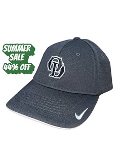 Nike Dri-FIT Stretch Mesh Sandwich Bill Cap